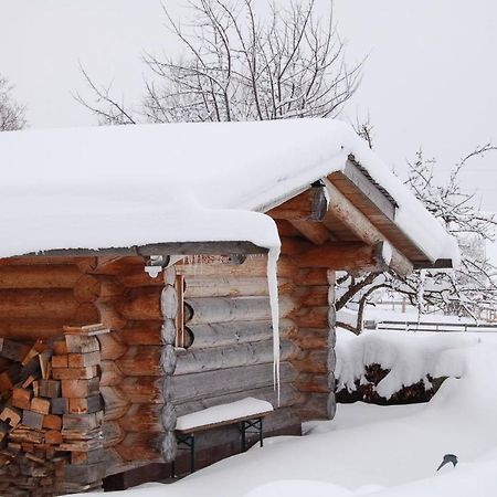 Best Butler Alp Villa 11 Personen I Blockhuette I Parken I Lagerfeuer I Netflix Гопферау Екстер'єр фото