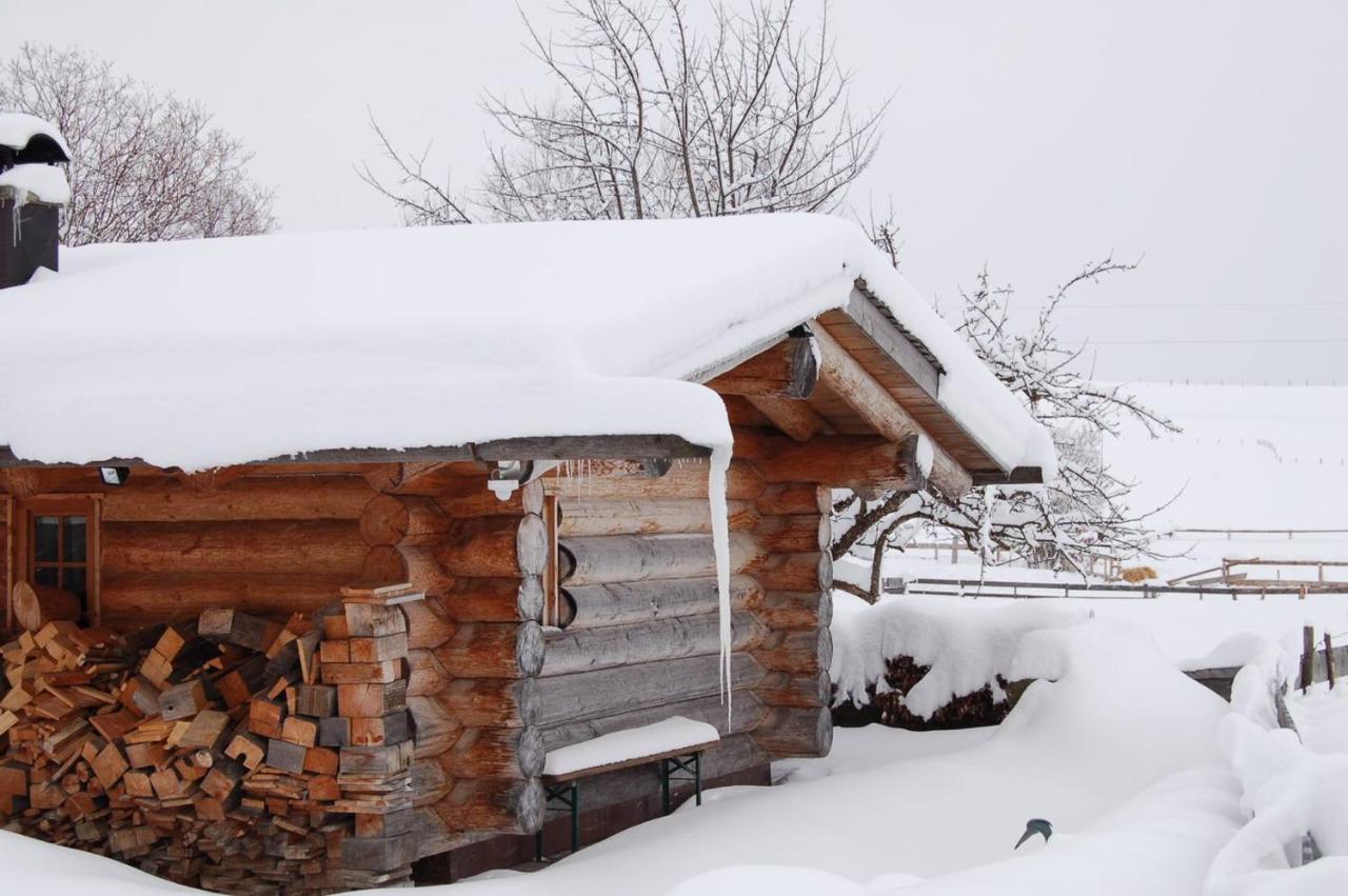 Best Butler Alp Villa 11 Personen I Blockhuette I Parken I Lagerfeuer I Netflix Гопферау Екстер'єр фото