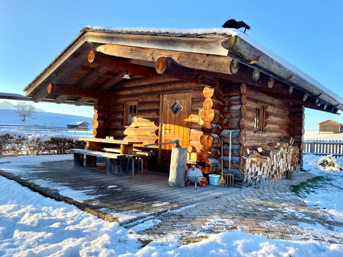 Best Butler Alp Villa 11 Personen I Blockhuette I Parken I Lagerfeuer I Netflix Гопферау Екстер'єр фото